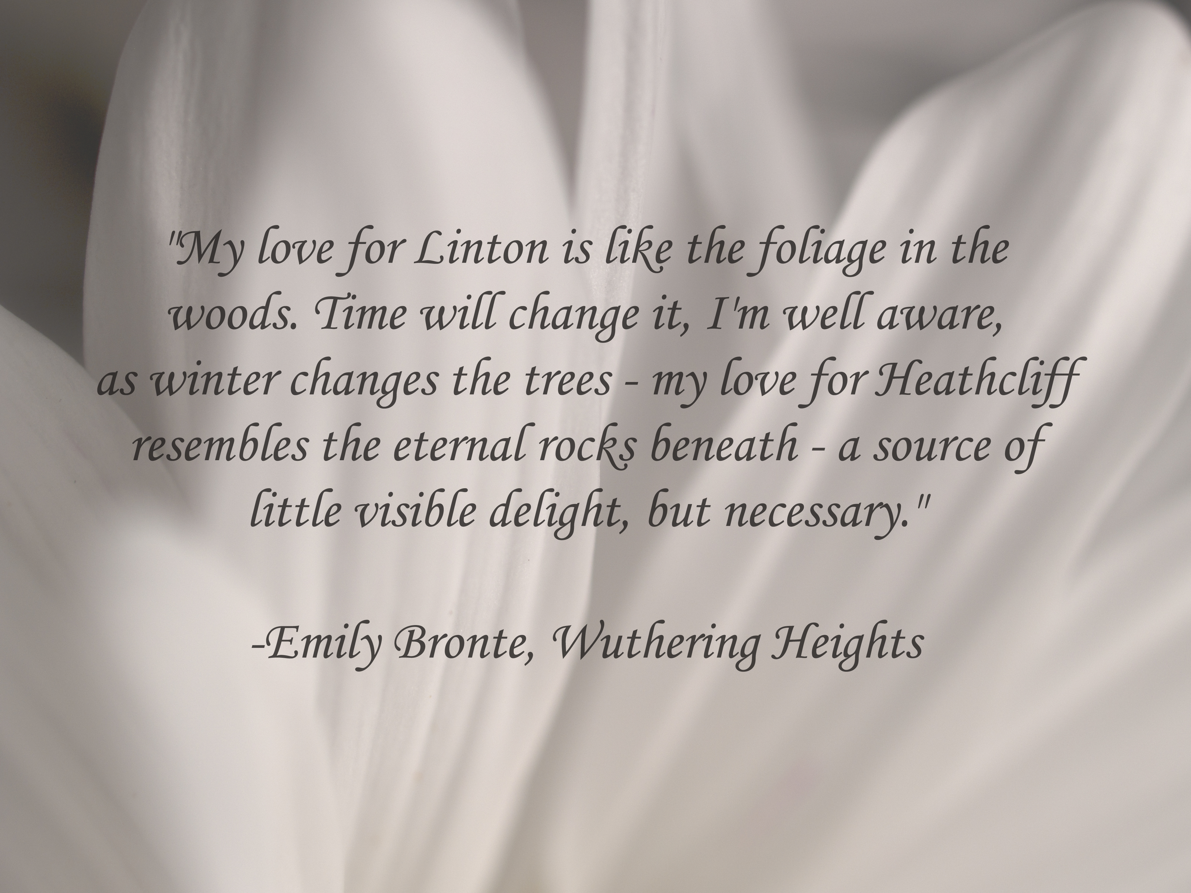 Emily Bronte - Wuthering Heights