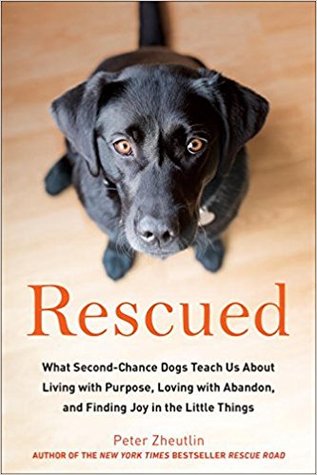 Rescued: What Second-Chance Dogs Teach Us about living with Purpose, Loving with Abandon, and Finding Joy in the Little Things by Peter&nbsp;Zheutlin