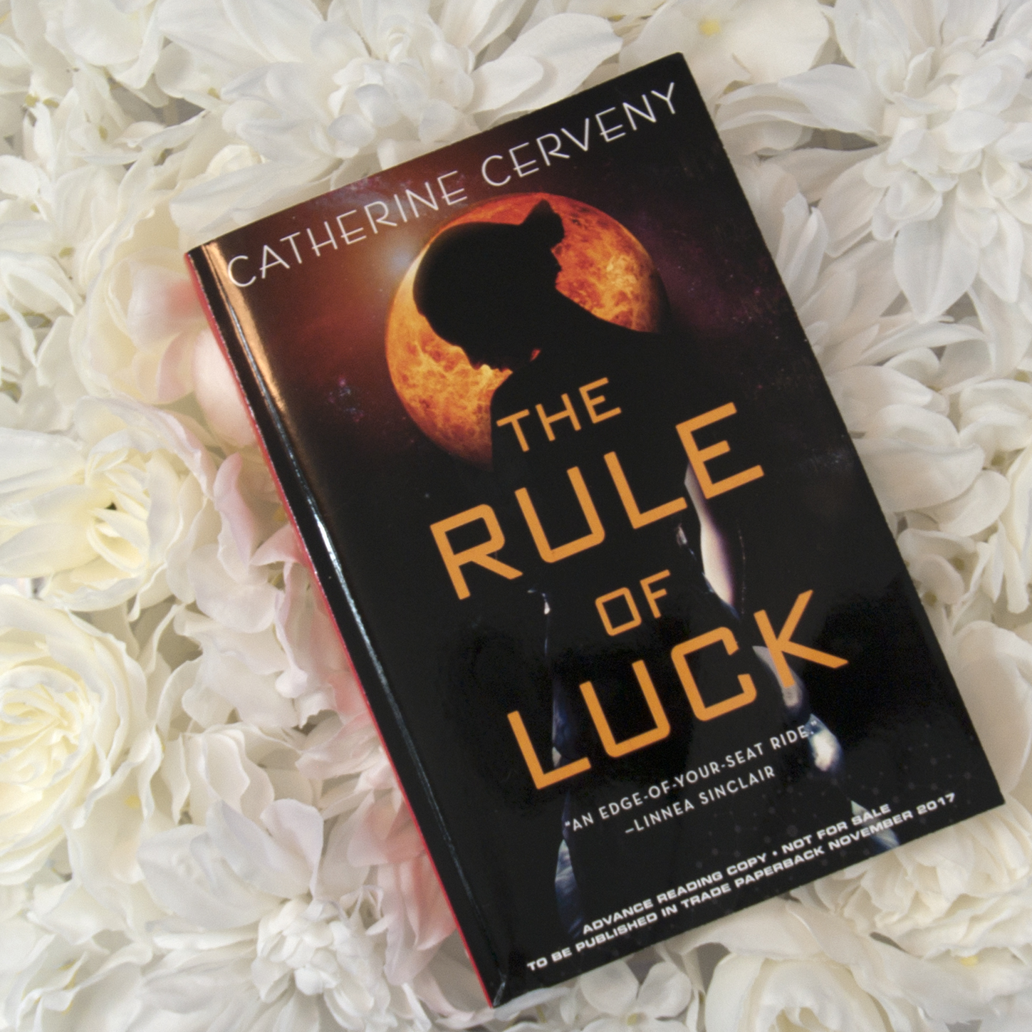 The Rule of Luck by Catherine Cerveny