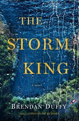 Review: The Storm King by Brendan&nbsp;Duffy