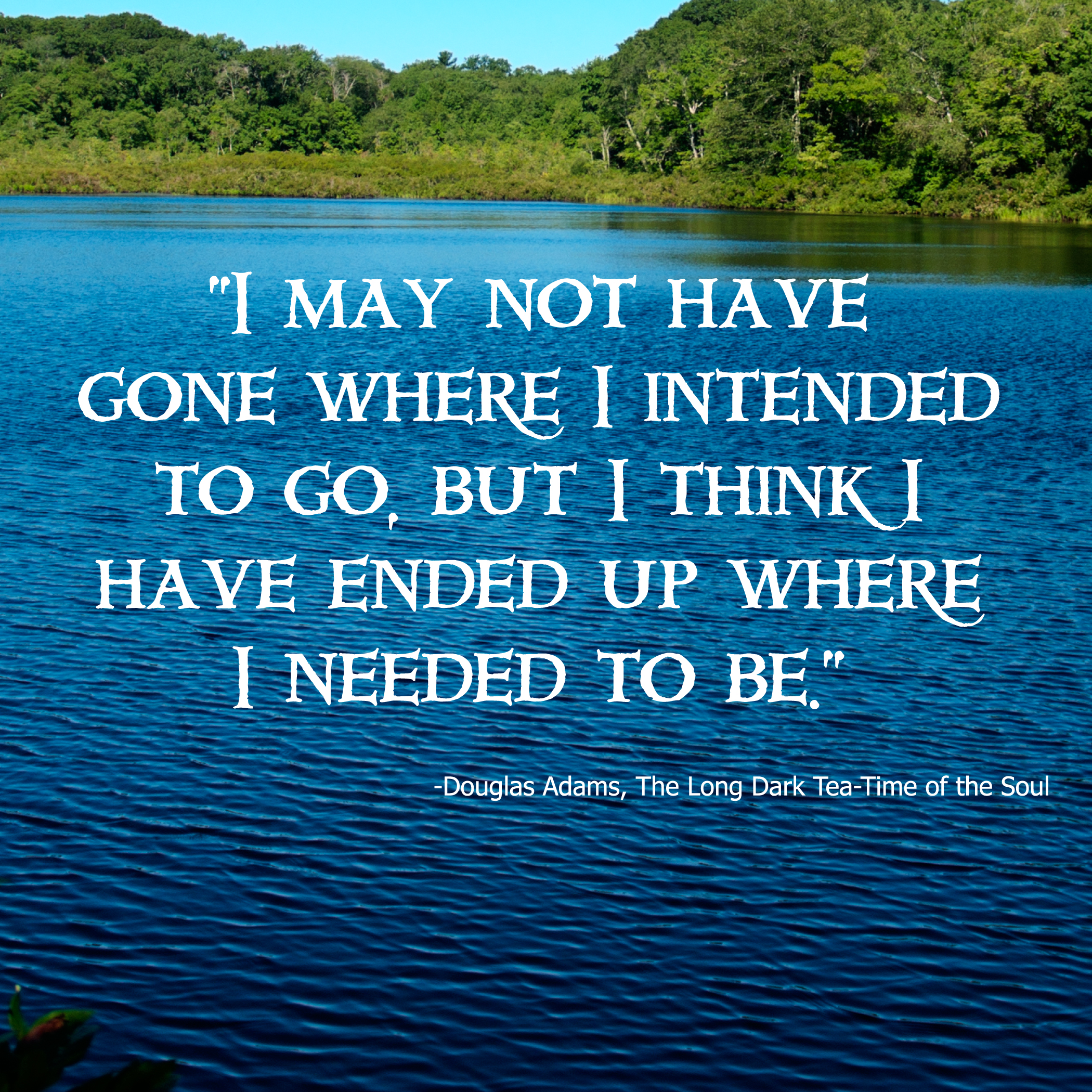 Douglas Adams The Long Dark Tea Time