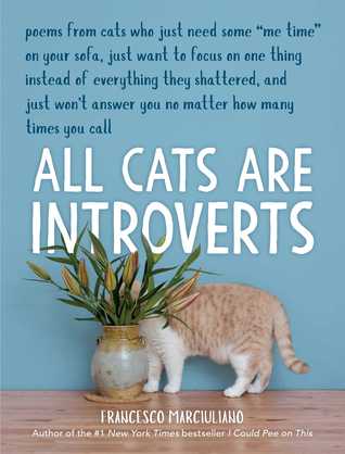 Review: All Cats Are&nbsp;Introverts