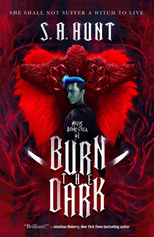 Review: Burn the Dark by S.A.&nbsp;Hunt