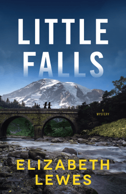 Blog Tour & Review: Little Falls by Elizabeth&nbsp;Lewes