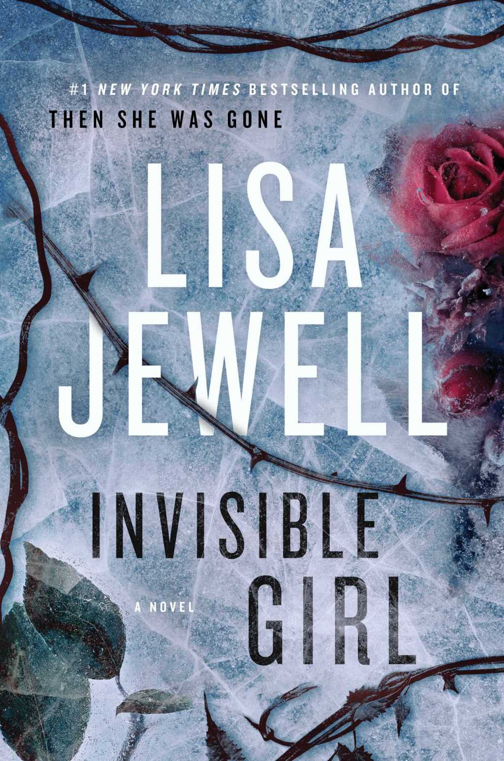 Review: Invisible Girl by Lisa&nbsp;Jewell