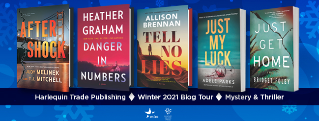 Blog Tour & Review: Tell No Lies by Allison&nbsp;Brennan