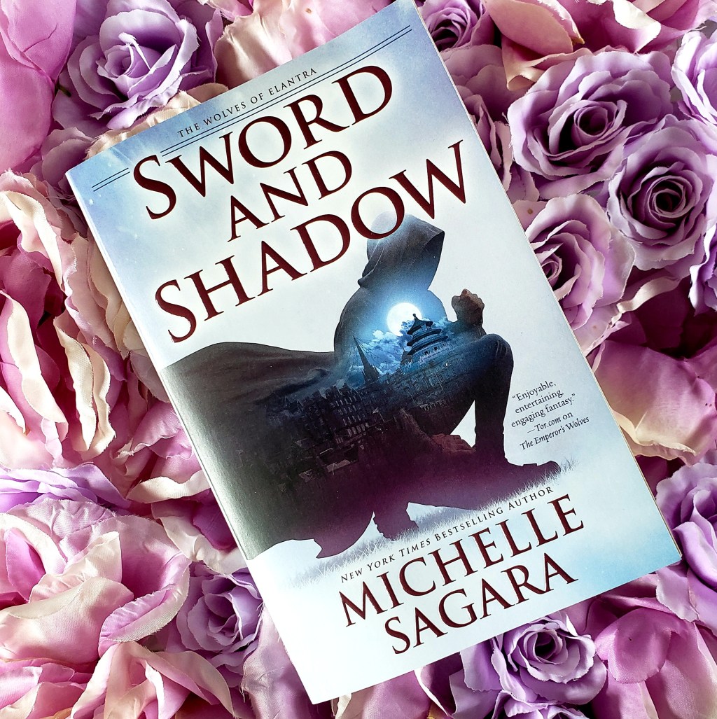 Review: Sword and Shadow by Michelle&nbsp;Sagara