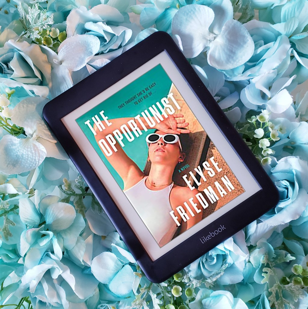 Review: The Opportunist by Elyse&nbsp;Friedman